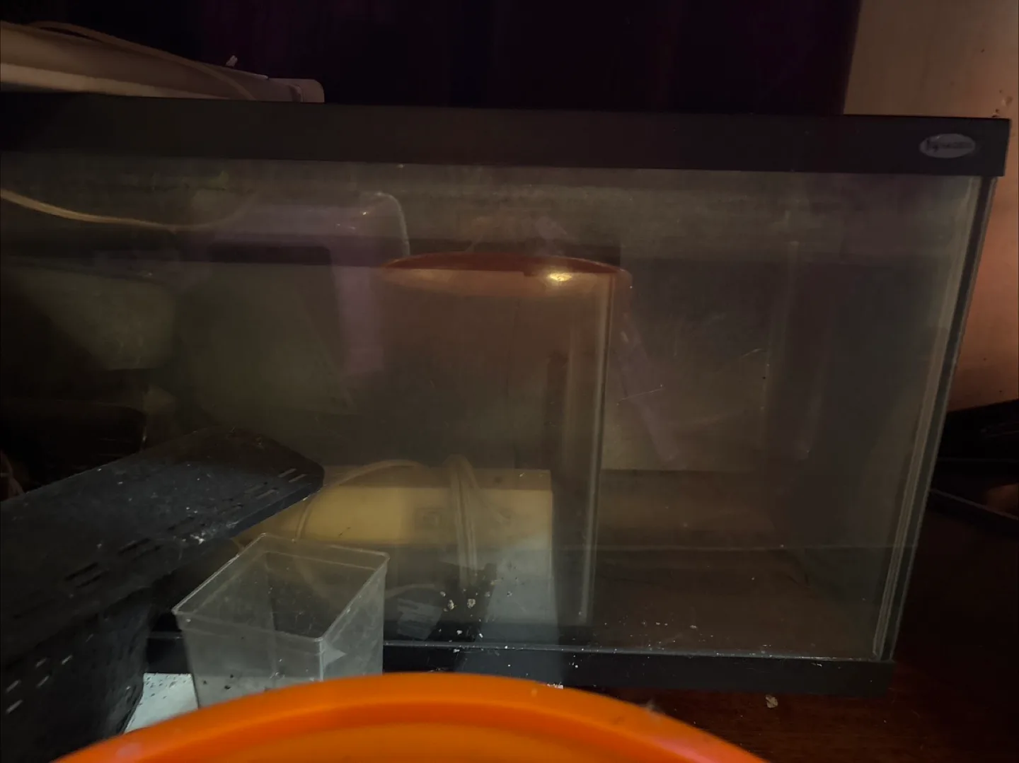 Aquarium Fish Tank thumbnail