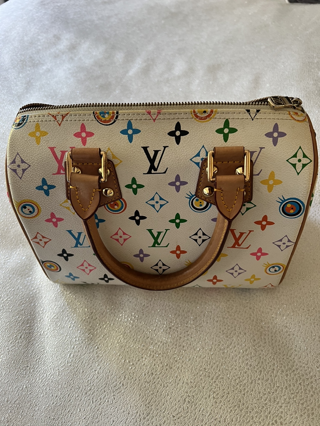 Louis Vuitton Multicolor Speedy Handbag