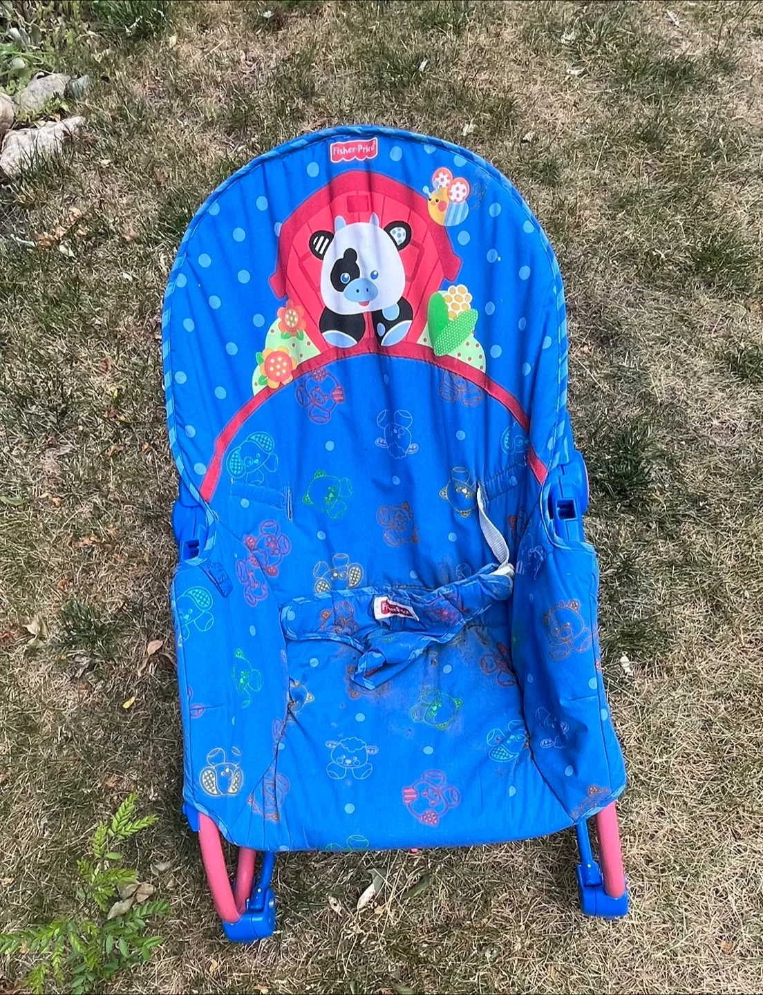 REPurpose Fisher-Price Baby Bouncer image indicator(2)