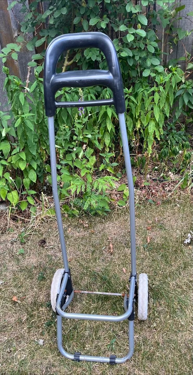 Be CREATIVE = convert into planter for a trailing plant. thumbnail