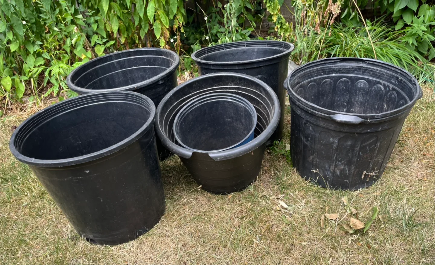 Black Plastic Plant Pots - Various Sizes image indicator(2)