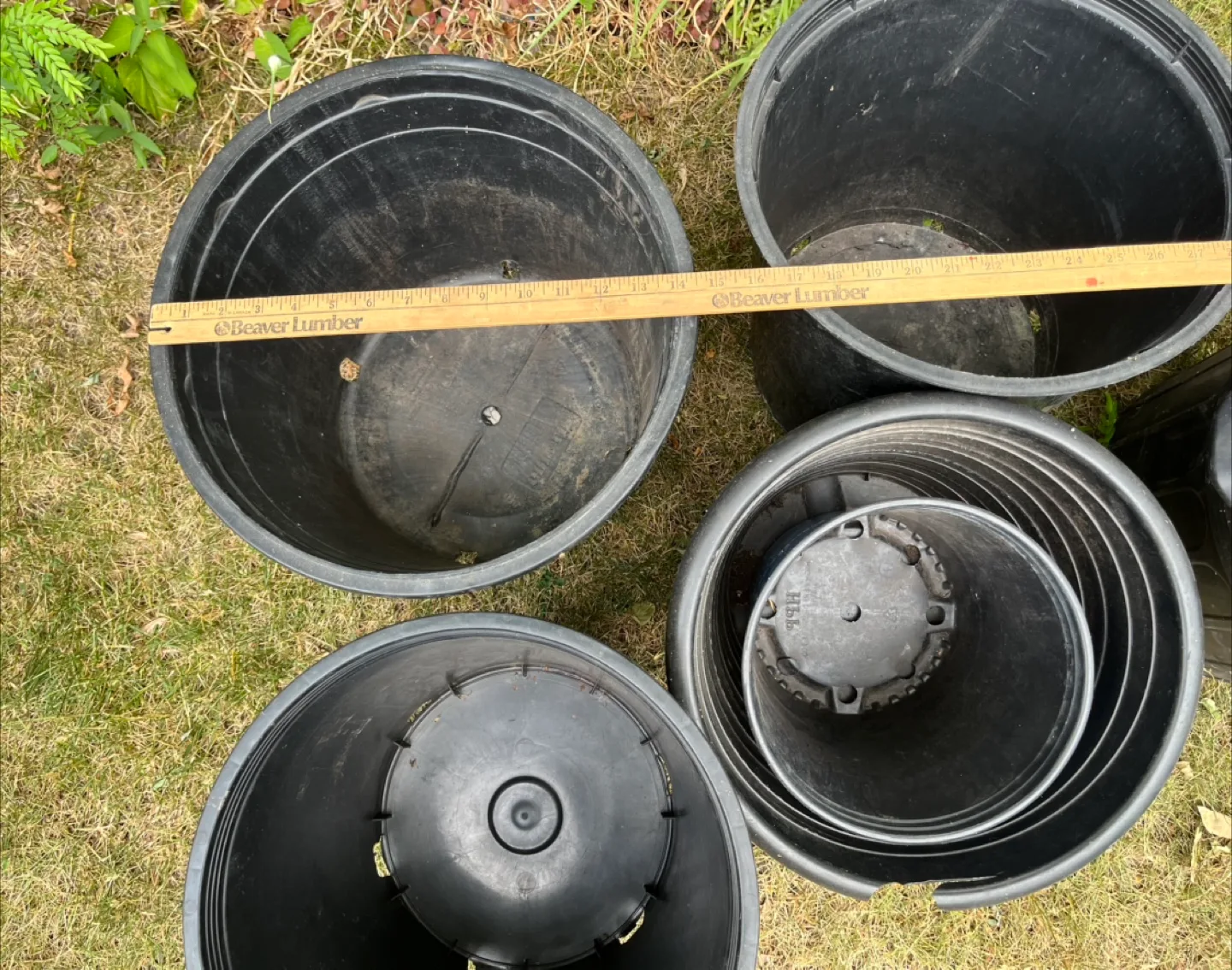 Black Plastic Plant Pots - Various Sizes image indicator(4)