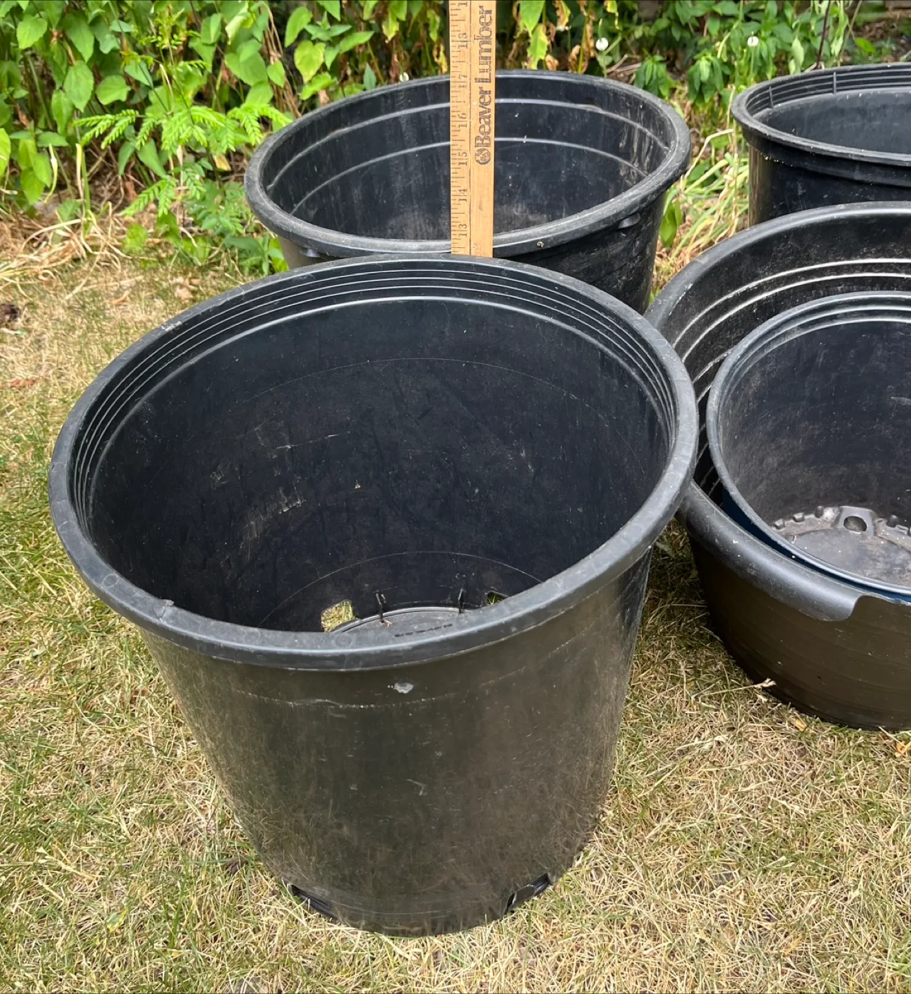 Black Plastic Plant Pots - Various Sizes image indicator(3)