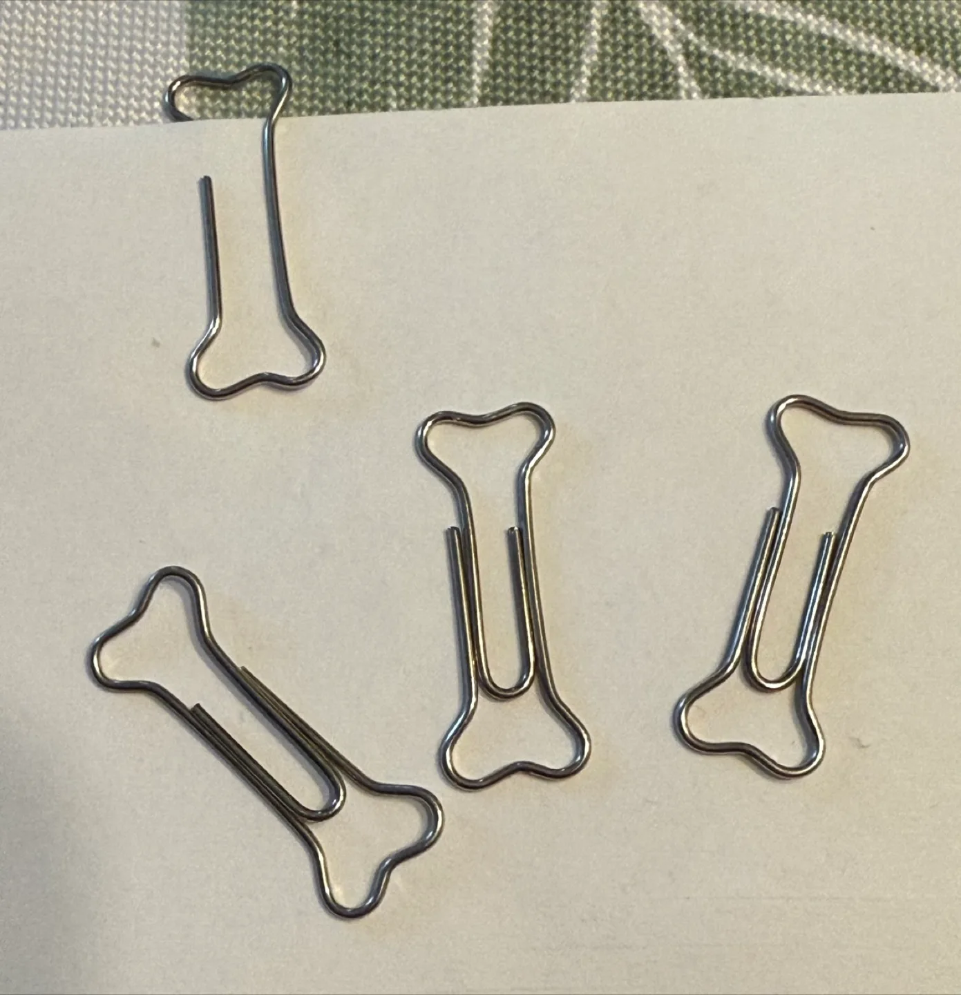 🇨🇦 🍁 Dog Bone Shaped Paper Clips image indicator(2)