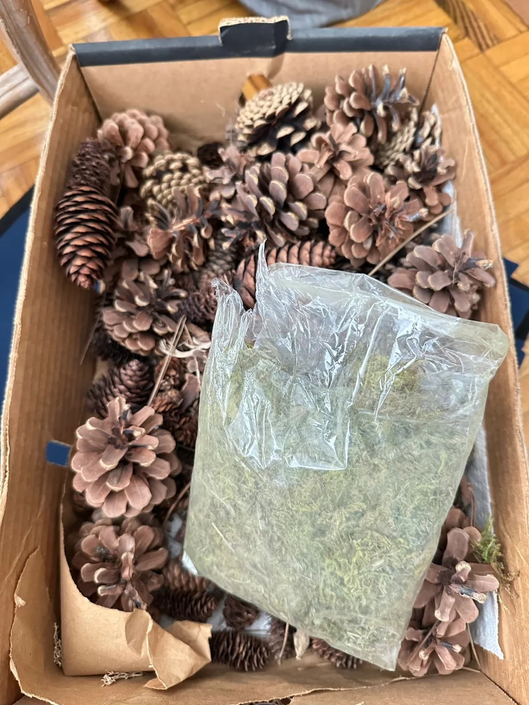 🇨🇦 Box of Pinecones & Moss image indicator(3)