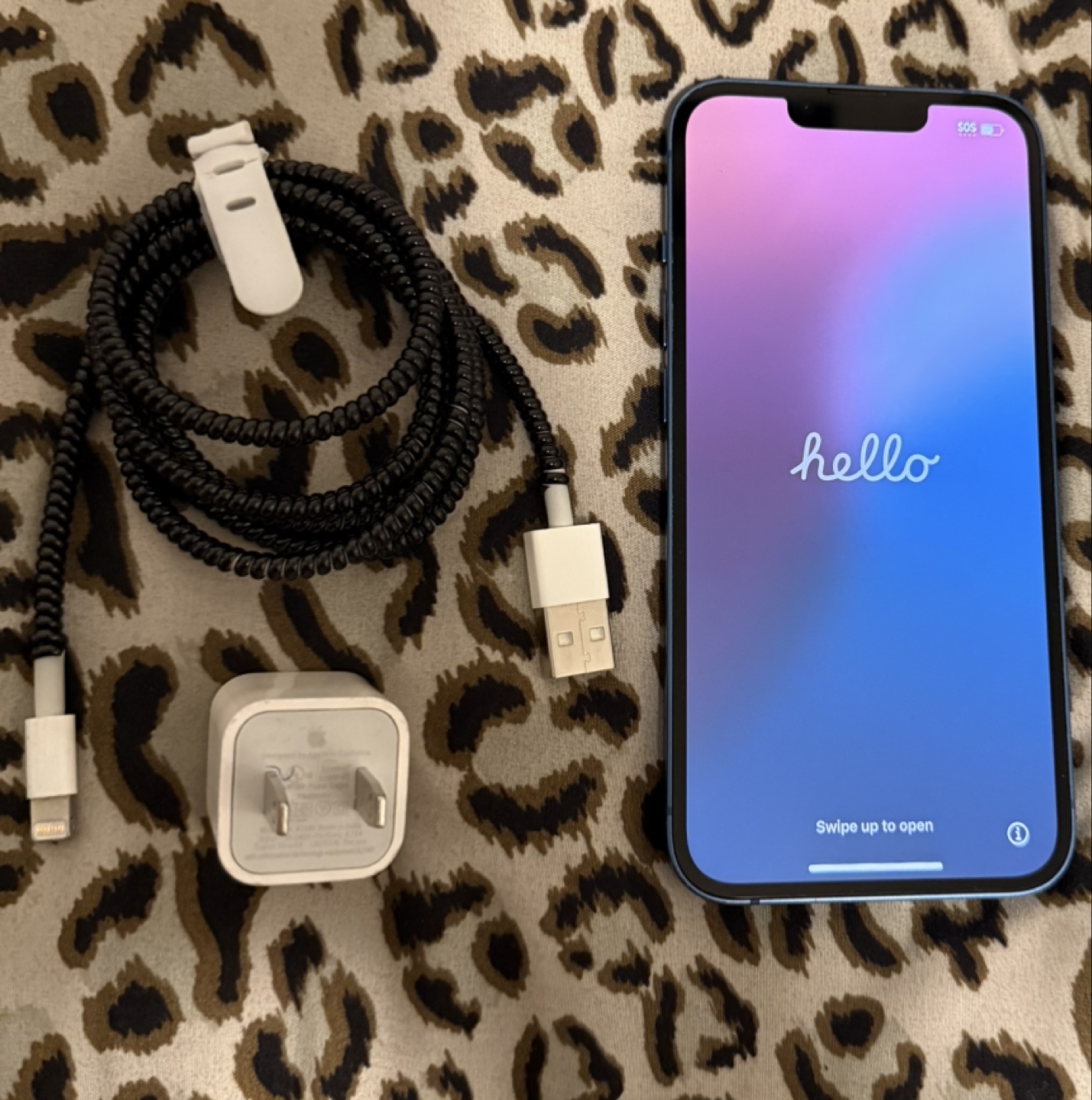 Blue iPhone 13 with Free original Apple Accessories