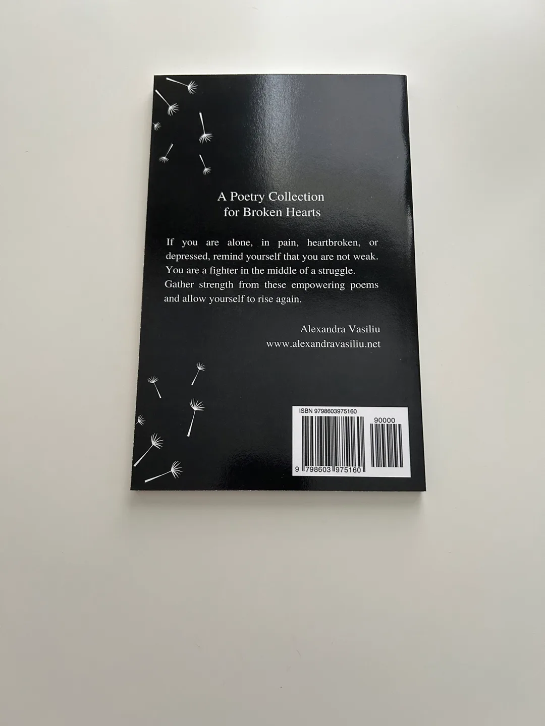 Healing Words by Alexandra Vasiliu image indicator(2)