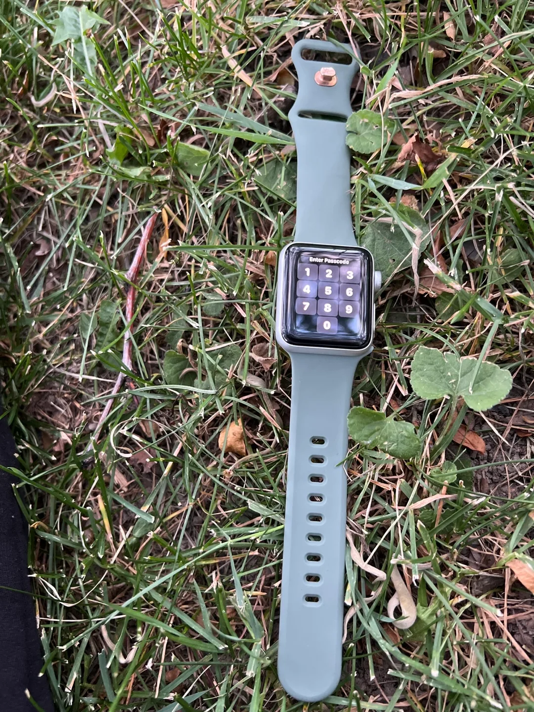 Apple Watch Series 3 image indicator(3)