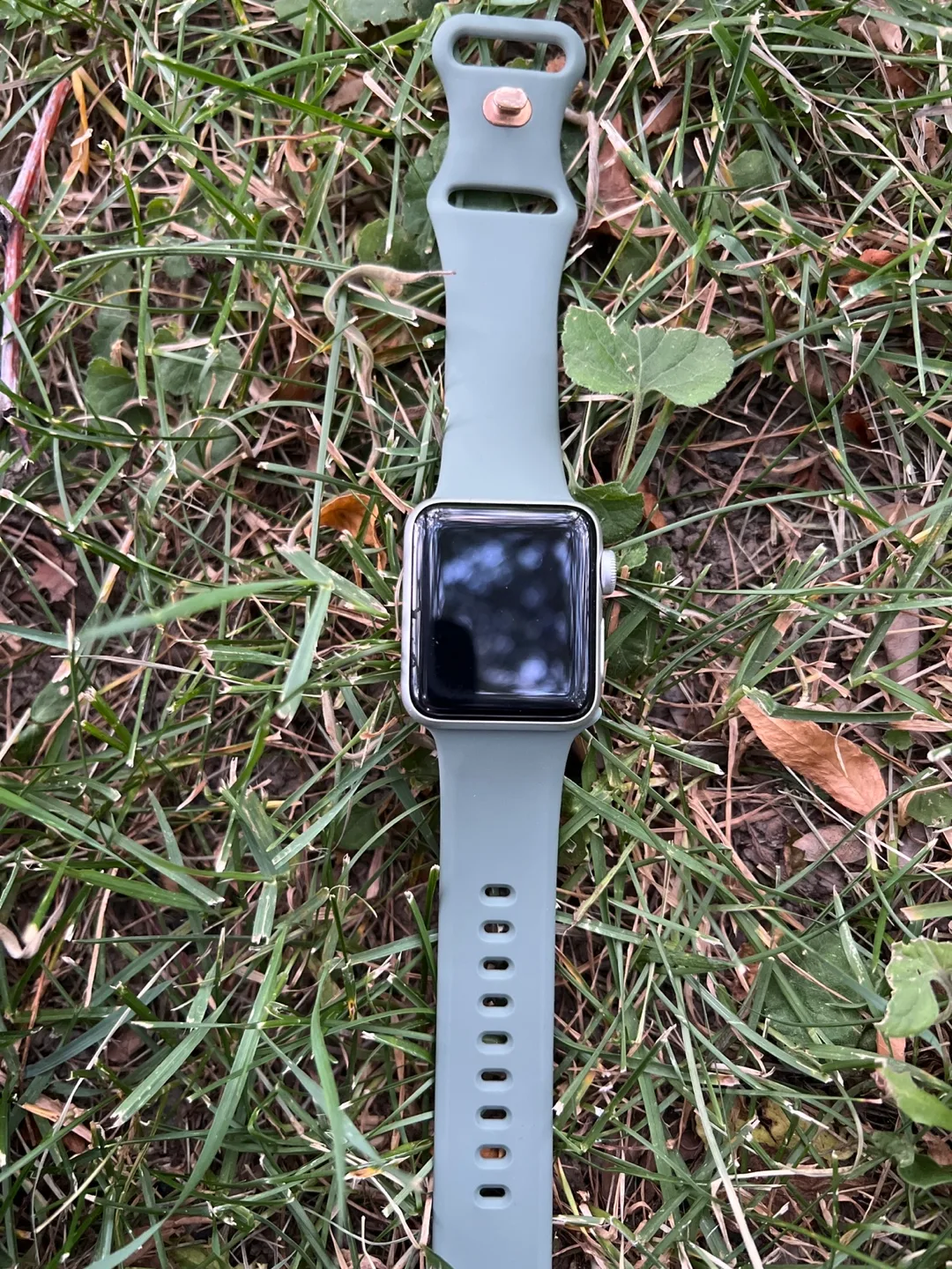 Apple Watch Series 3 thumbnail