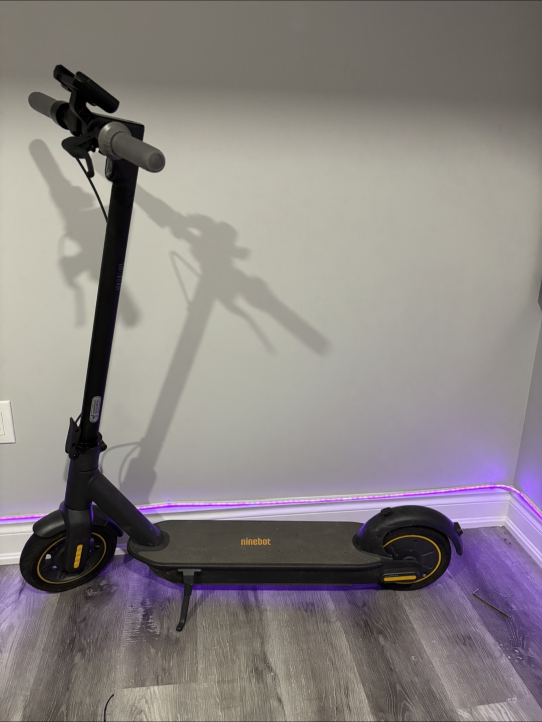 Ninebot Electric Scooter