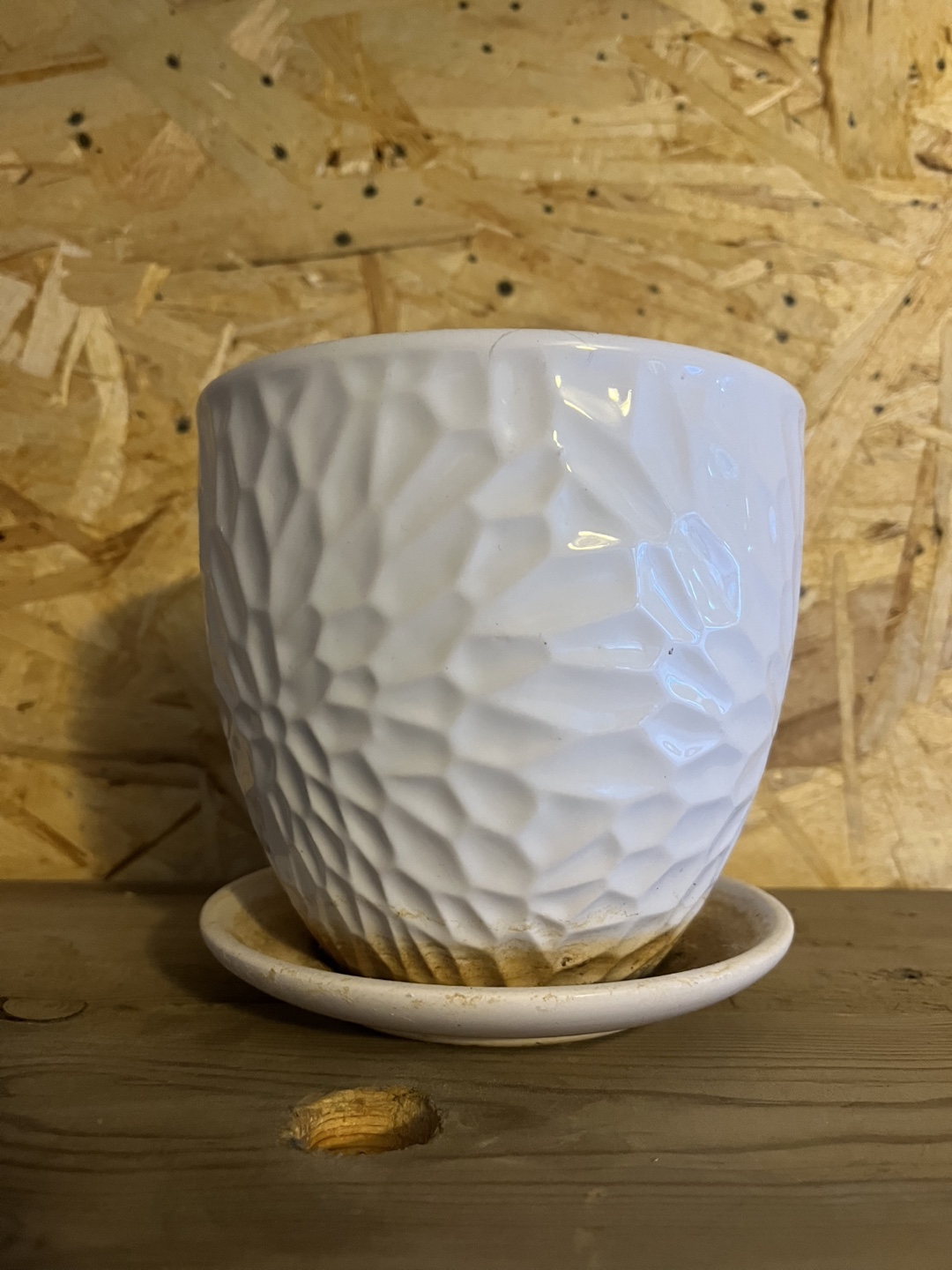 White Ceramic Plant Pot with Tray-6x6 inches