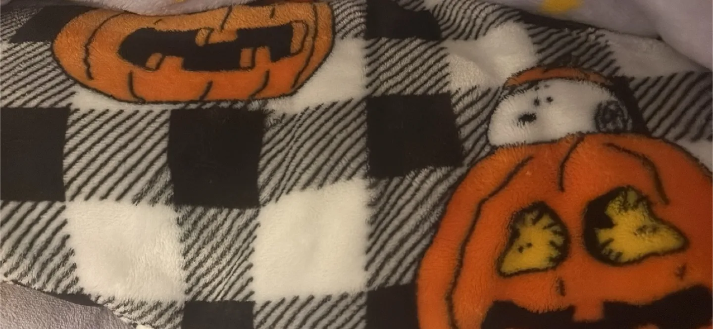 Halloween Snoopy Pumpkin Blanket queen thumbnail