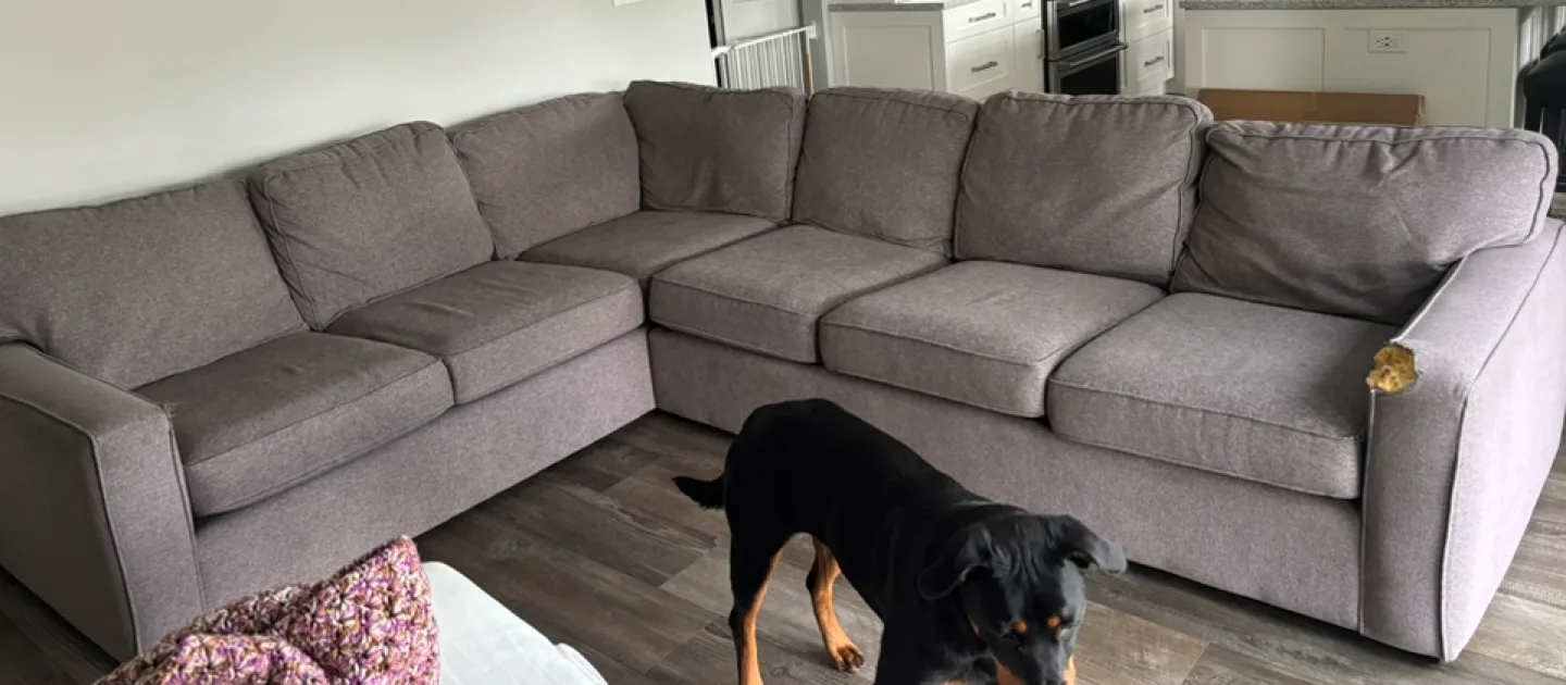 Sofa sectional #freecycle thumbnail