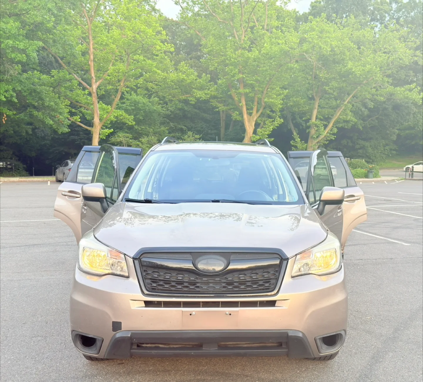 2015 Sabaru Forester premium image indicator(10)