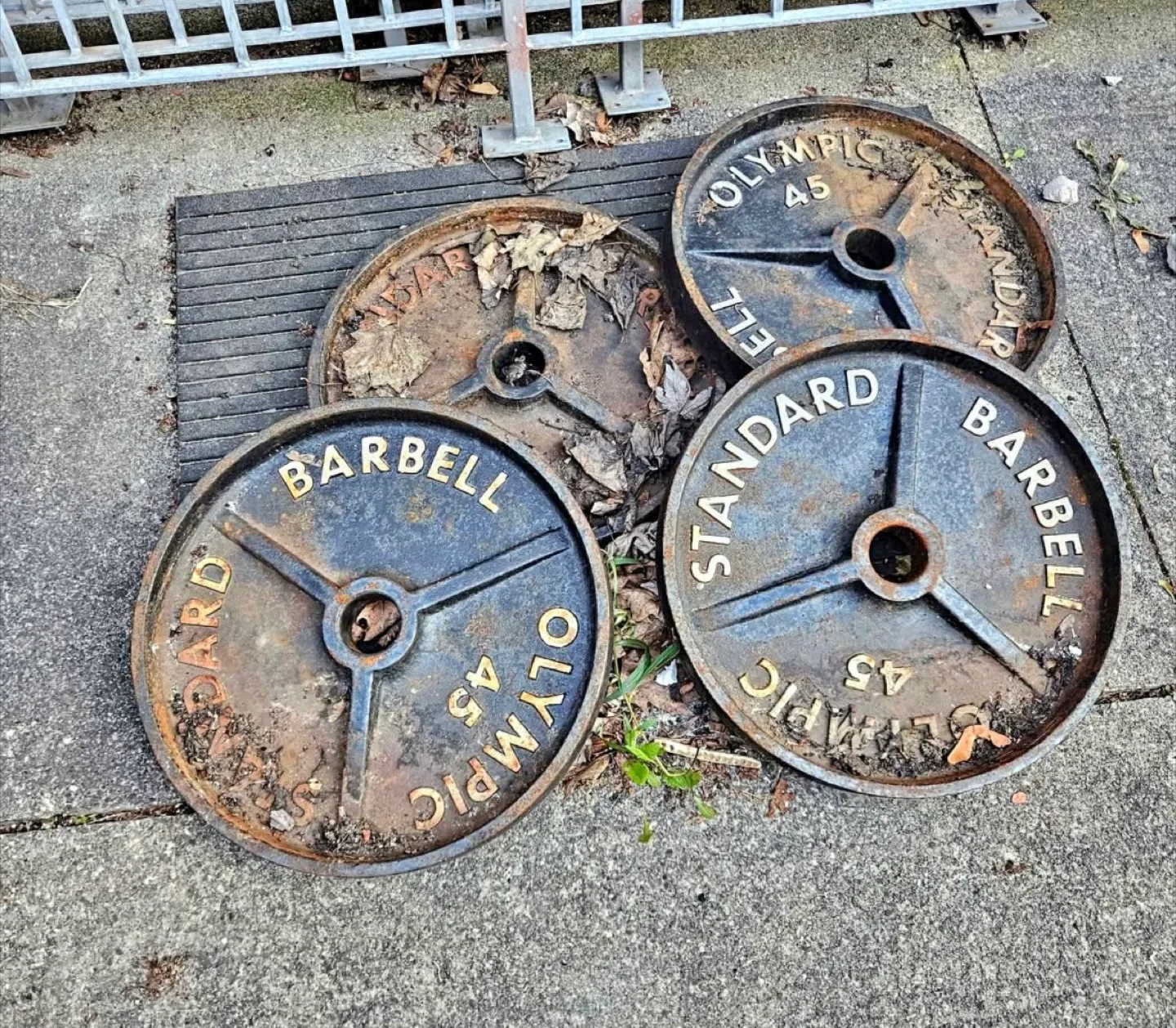 Standard Barbell Olympic 45 lb Weight Plates thumbnail