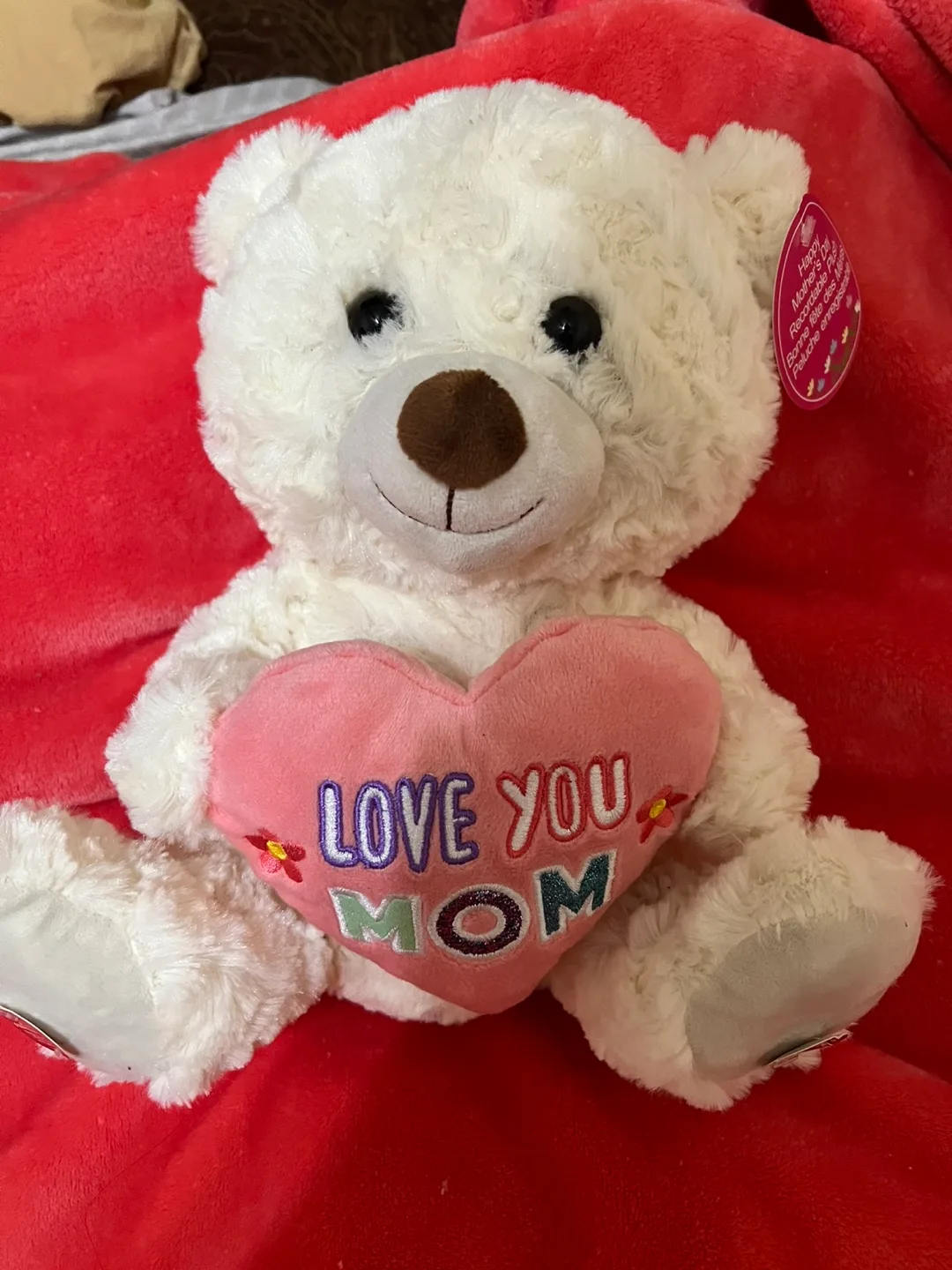 Happy Mother's Day Recordable Plush Bear thumbnail