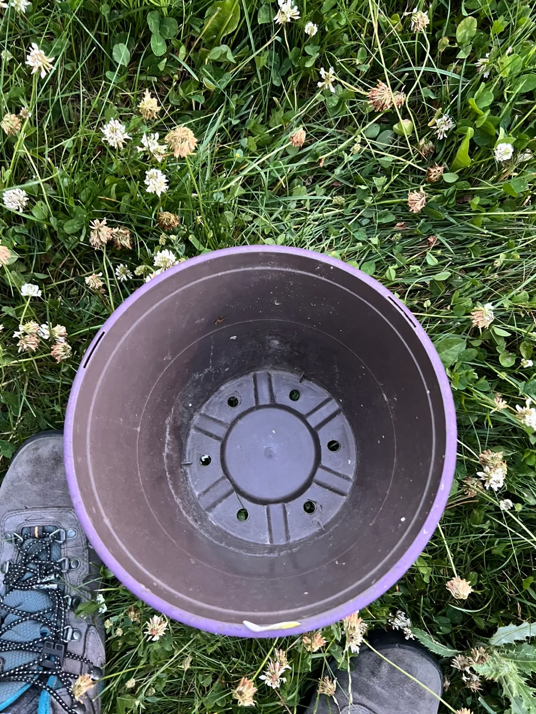 Purple planter Pot #freecycle 🇨🇦 image indicator(2)