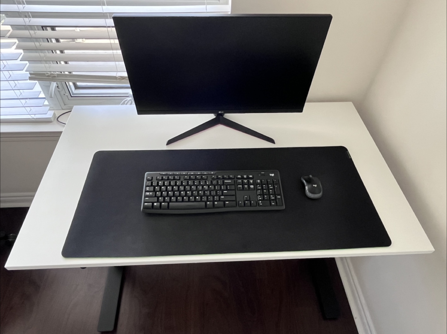 Desk + Monitor + Logitech Wireless Set + Razer Mat