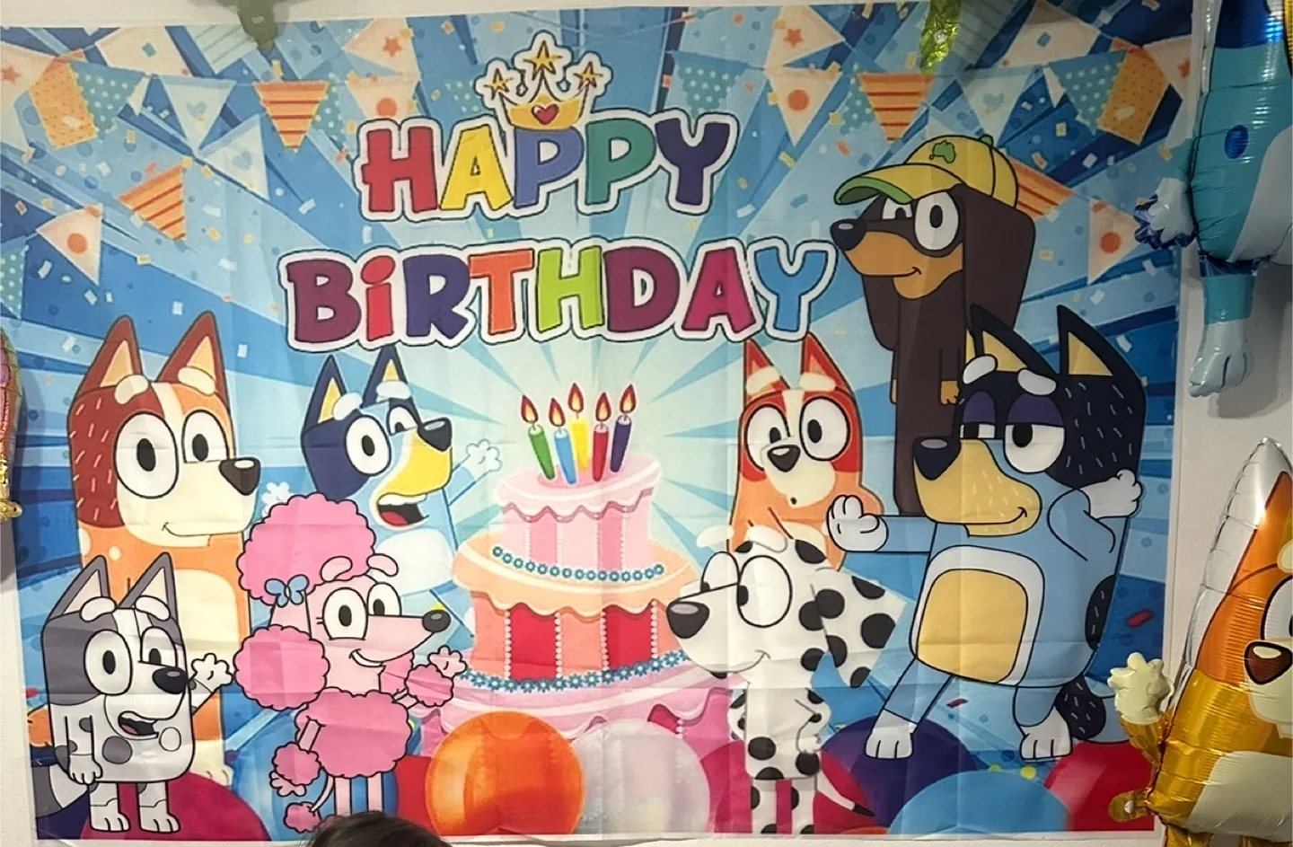 Bluey Happy Birthday Backdrop thumbnail