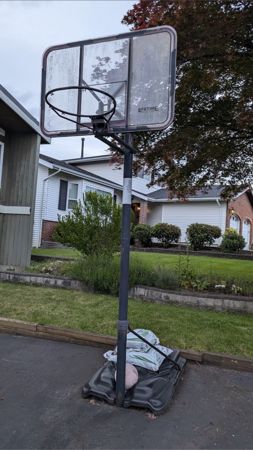 Lifetime Basketball Hoop