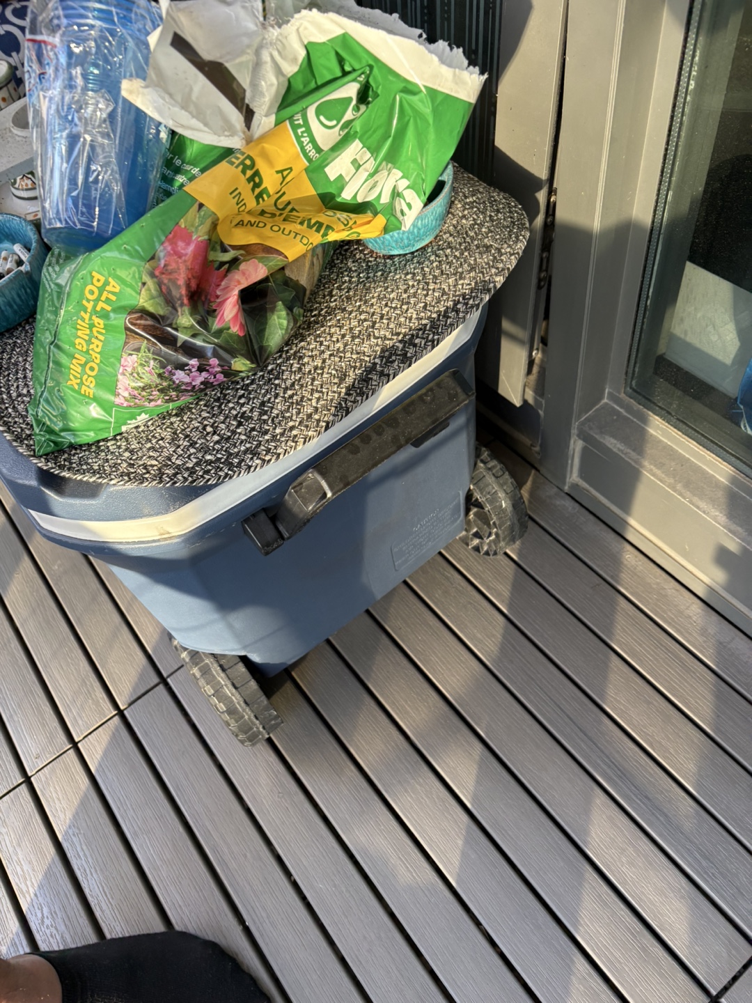 Coleman Wheeled Cooler - Blue