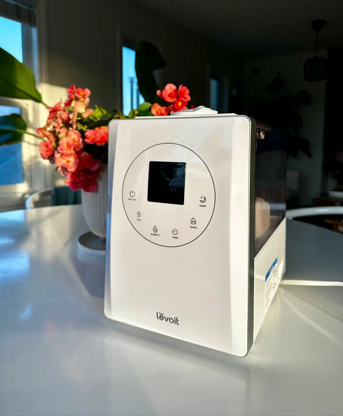 Levoit Ultrasonic Humidifier thumbnail