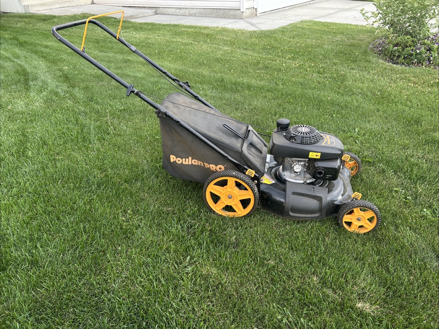 Poulan Pro GCV 160 Lawn Mower