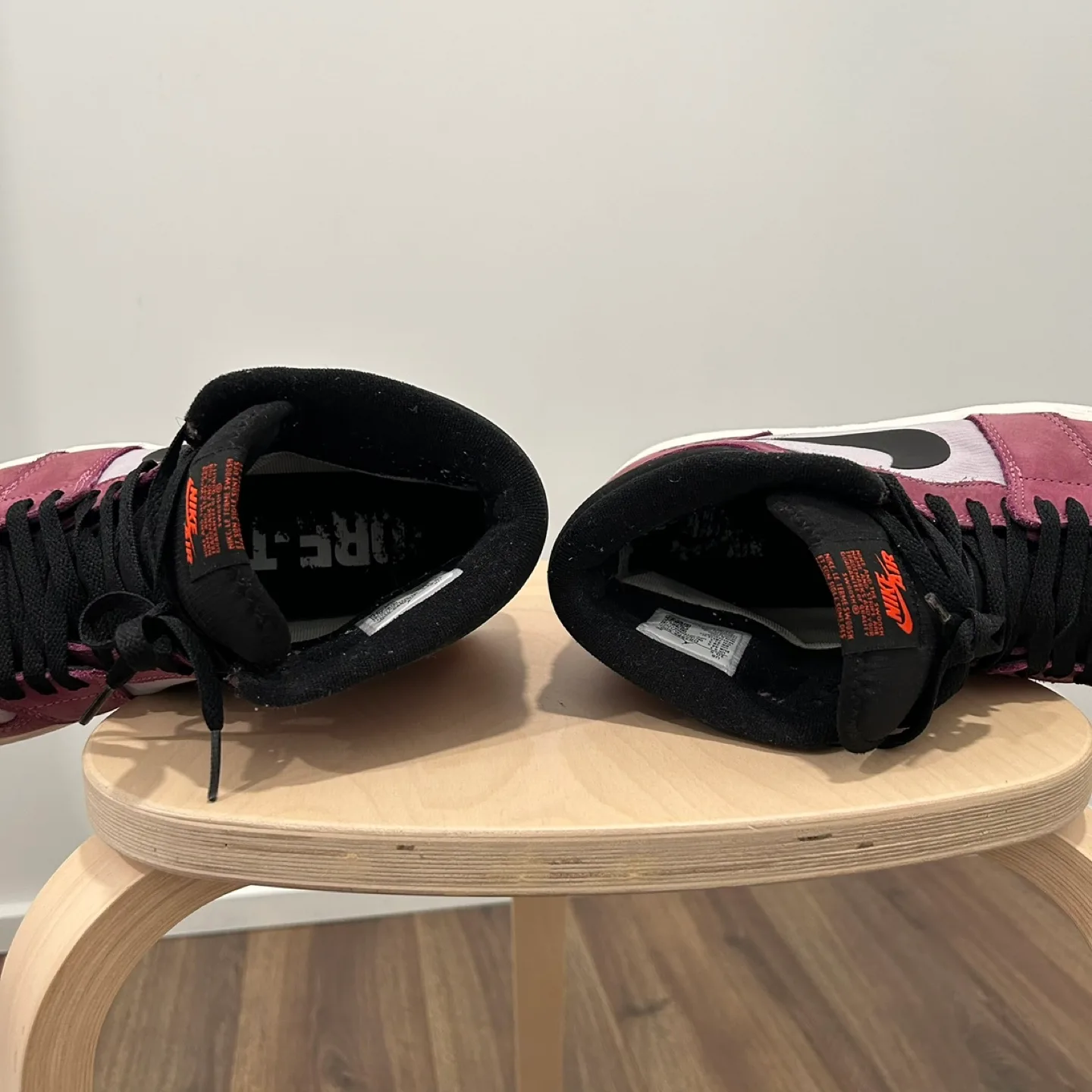 Nike Air Jordan 1 Gore-Tex Bordeaux (US 10.5) image indicator(7)