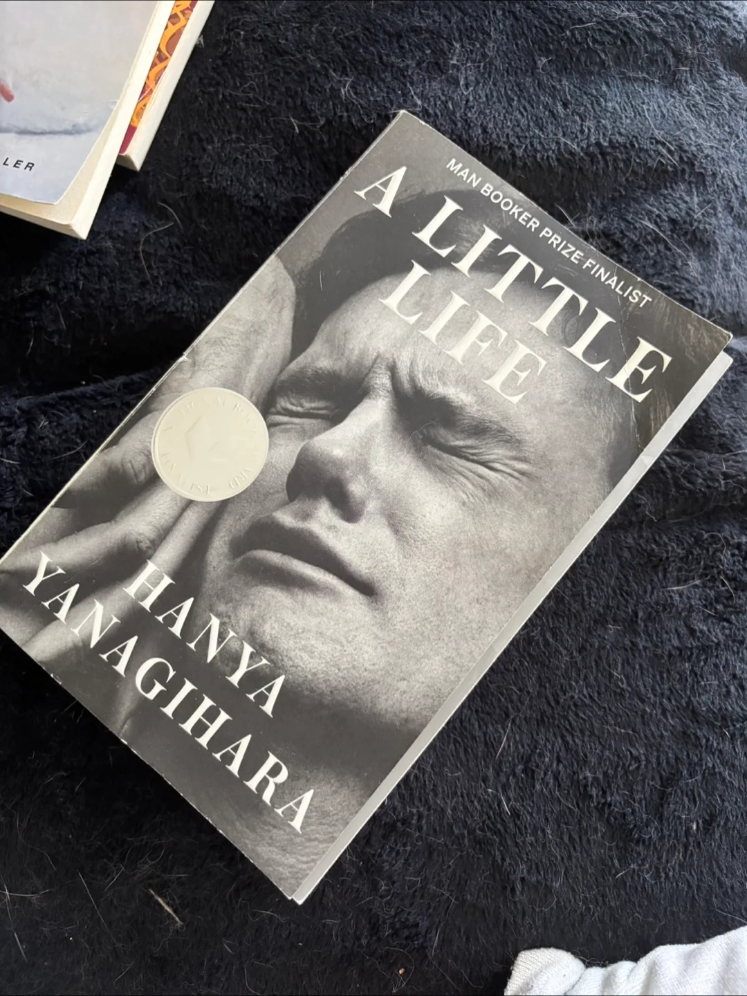 A Little Life by Hanya Yanagihara thumbnail
