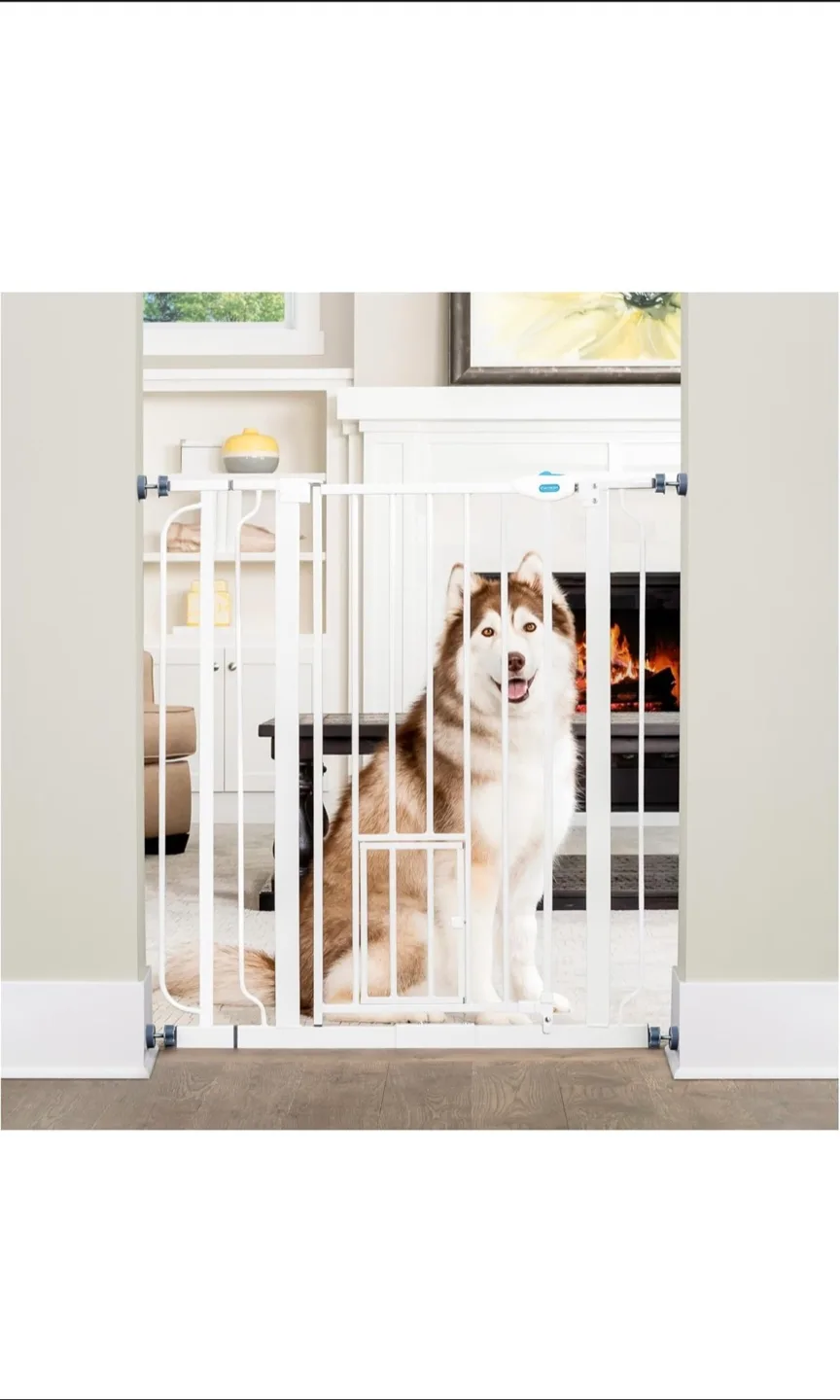 Safety 1st Easy Install Pet Gate thumbnail