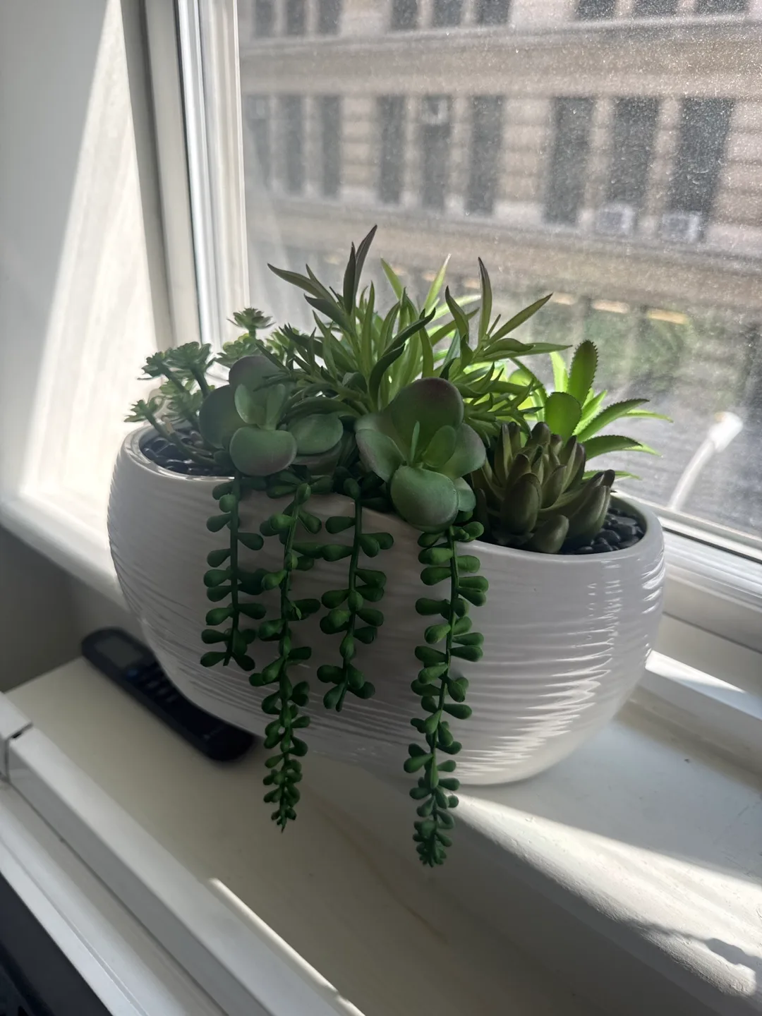 Artificial Succulent Arrangement in White Pot thumbnail