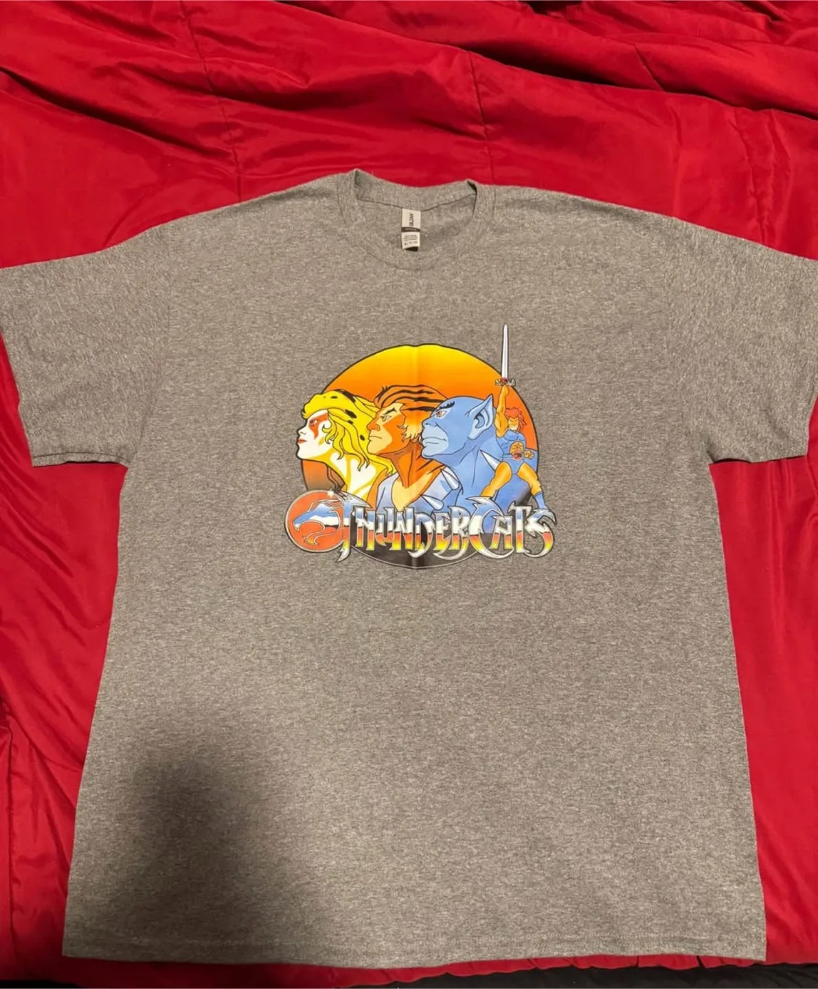 Thundercats XL Gray T-Shirt thumbnail