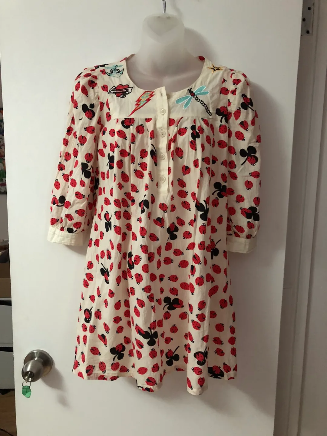 Fumbling Foe Ladybug with Embroidery Dress image indicator(2)