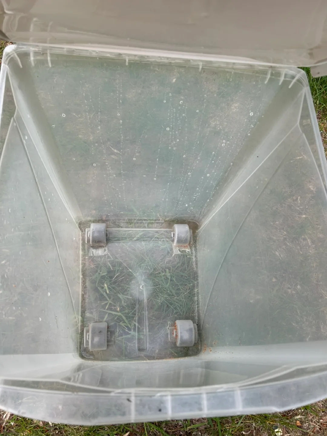 Pet food container image indicator(4)