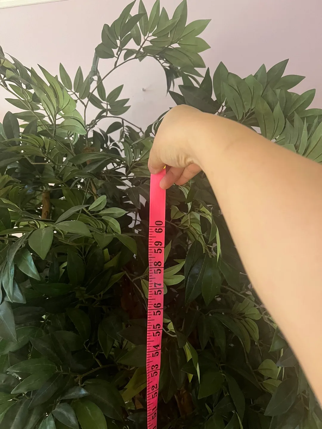 Tall artificial tree(over 75 inches tall) image indicator(2)