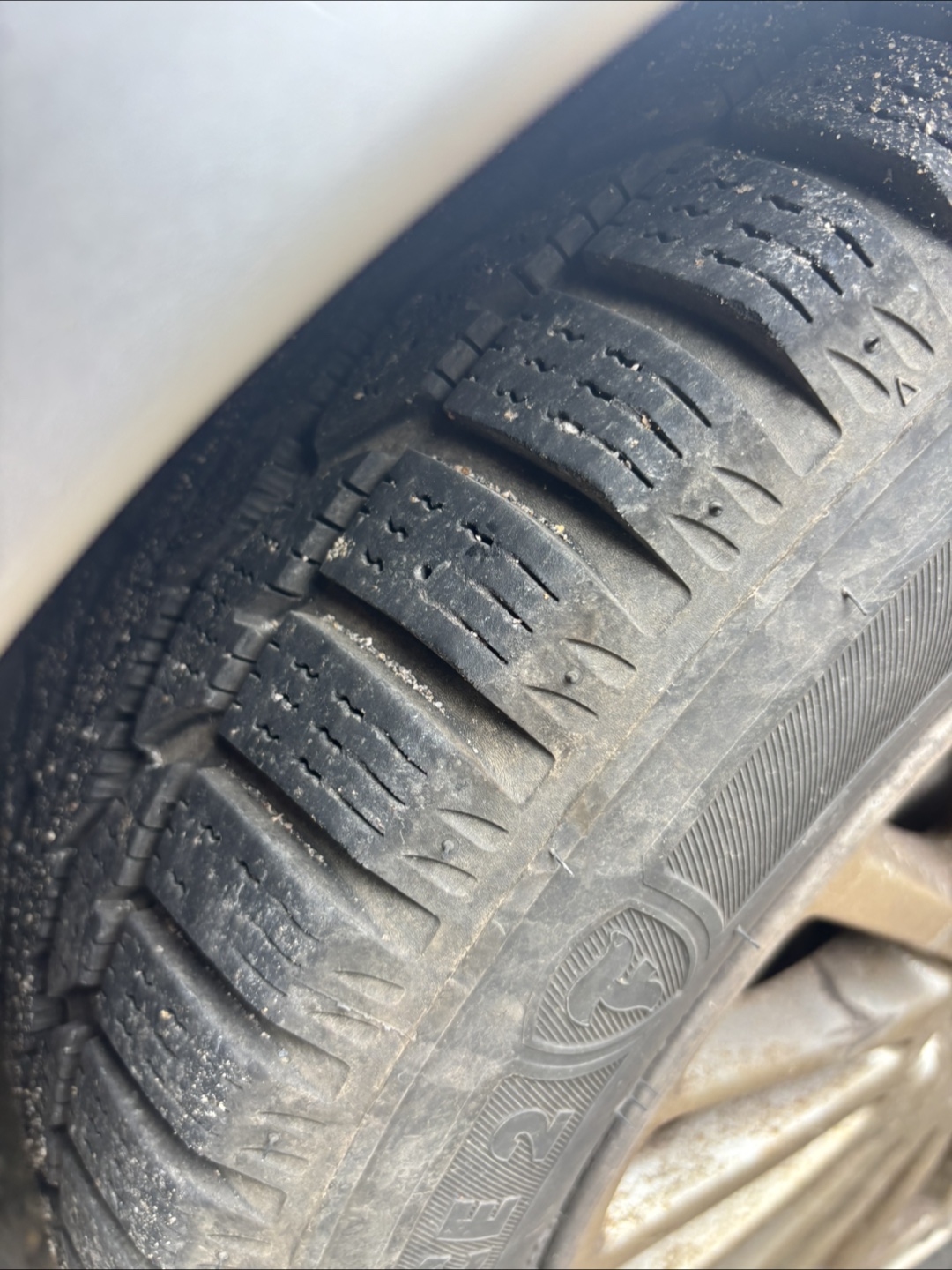 Firestone Winterforce 2 Tire 205/55R16 - photo 5