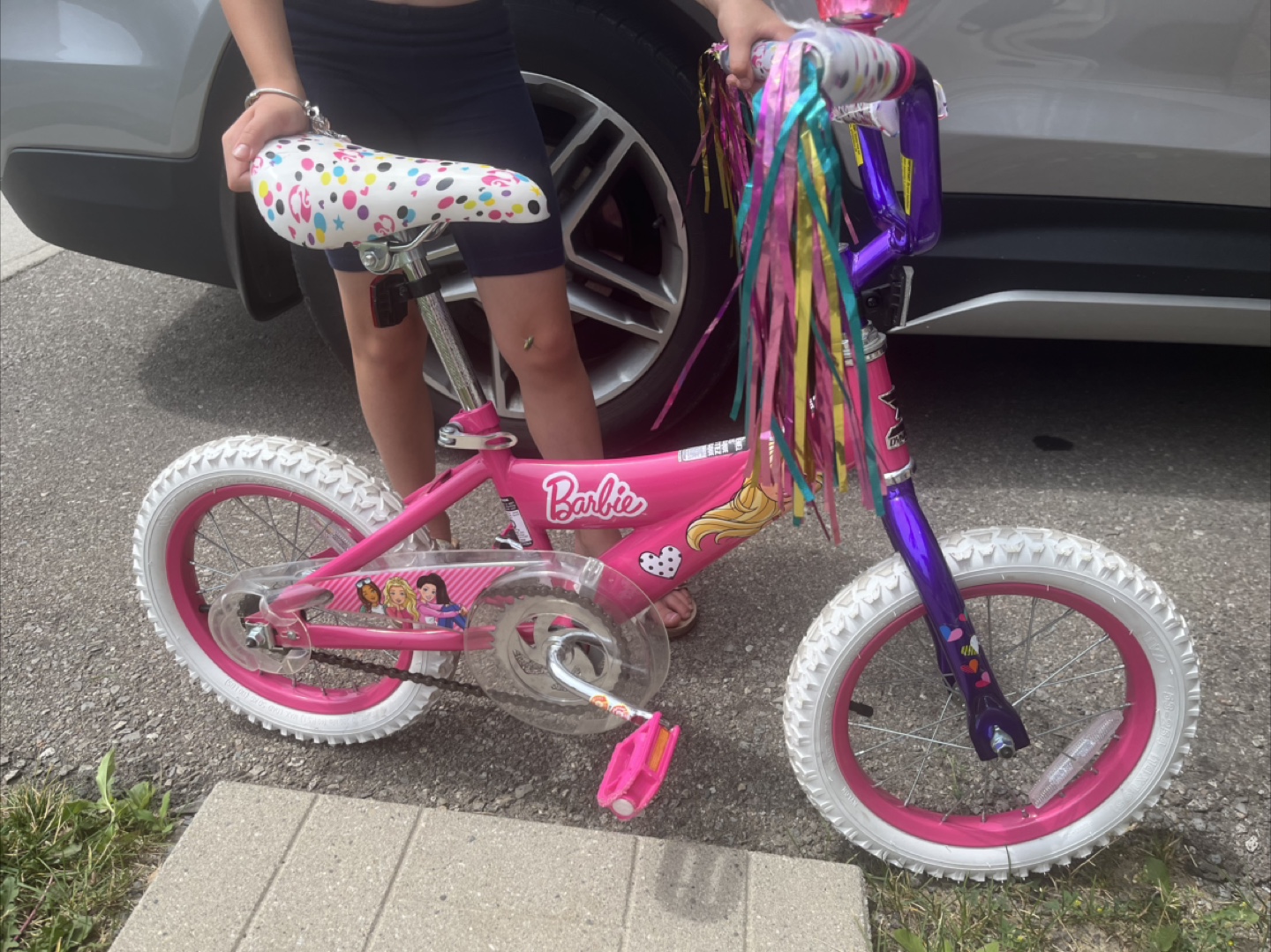 Barbie 14-inch Kids Bike - Pink & Purple