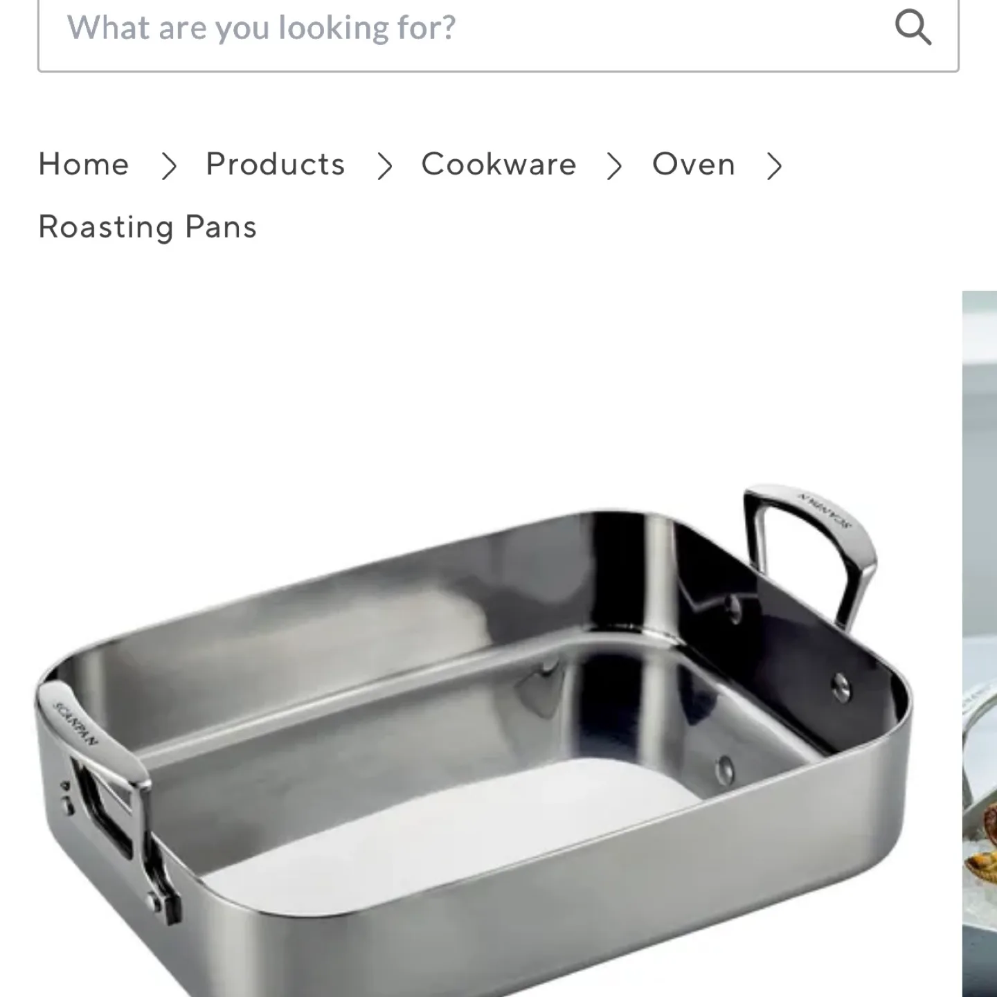 Scanpan Fusion 5 Stainless Steel Roaster 17.25" x 9.5" thumbnail