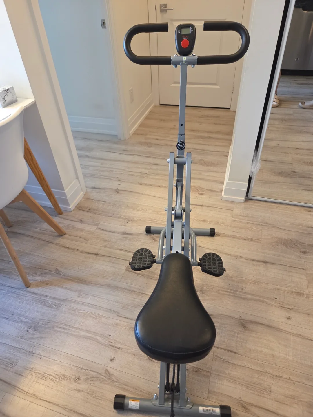 Sunny Health & Fitness Squat Assist Row-N-Ride Trainer image indicator(3)