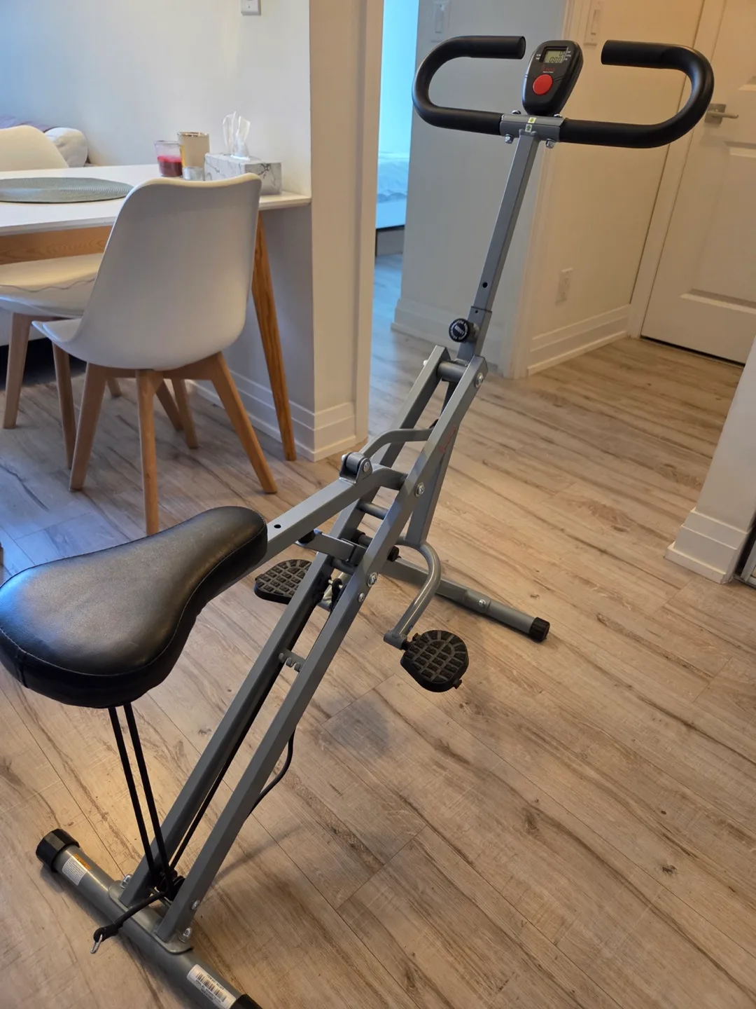 Sunny Health & Fitness Squat Assist Row-N-Ride Trainer thumbnail