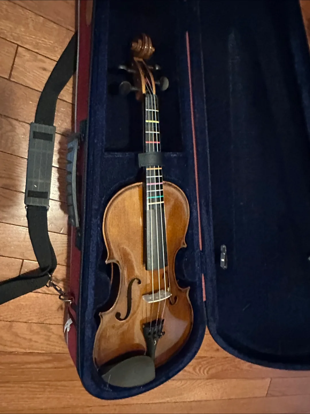 Violin with D'Addario Pro-Arte Strings thumbnail