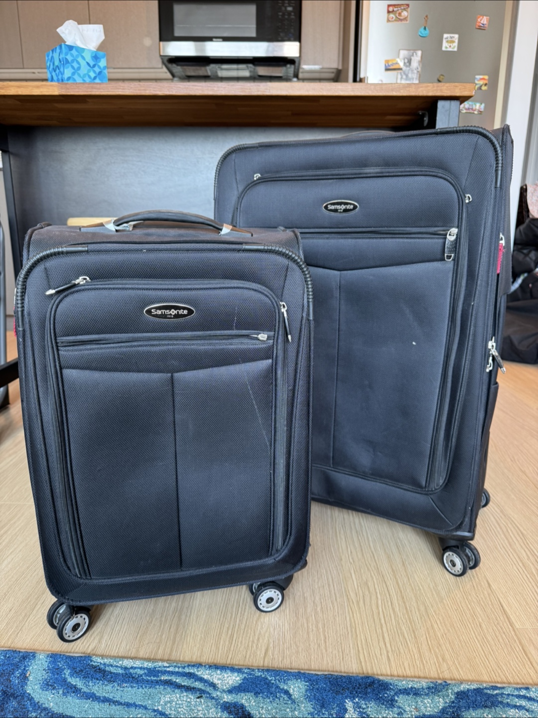 Samsonite Black Checked Suitcase and Carry-on Suitcase