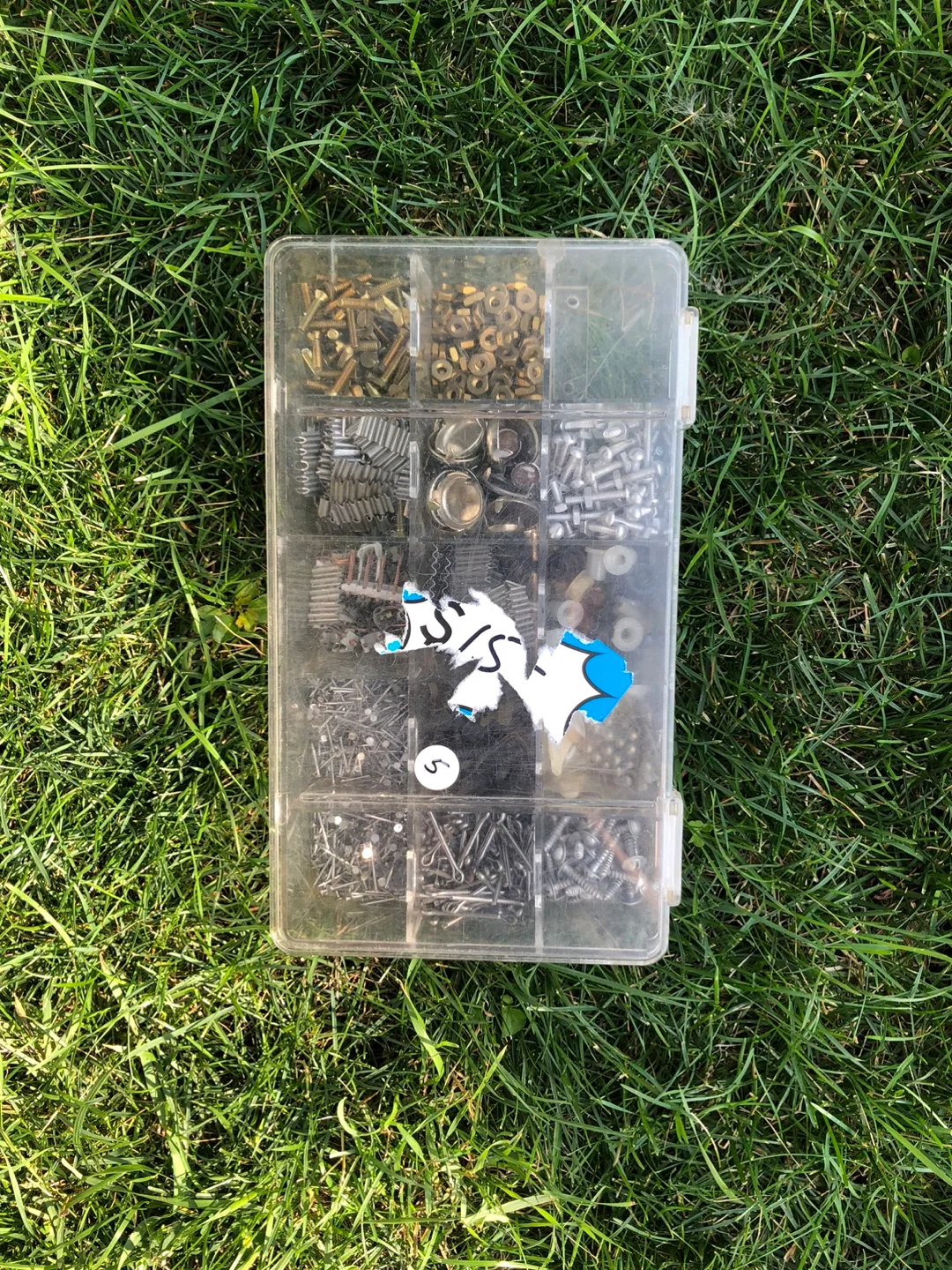 Assorted Screws and Fasteners thumbnail