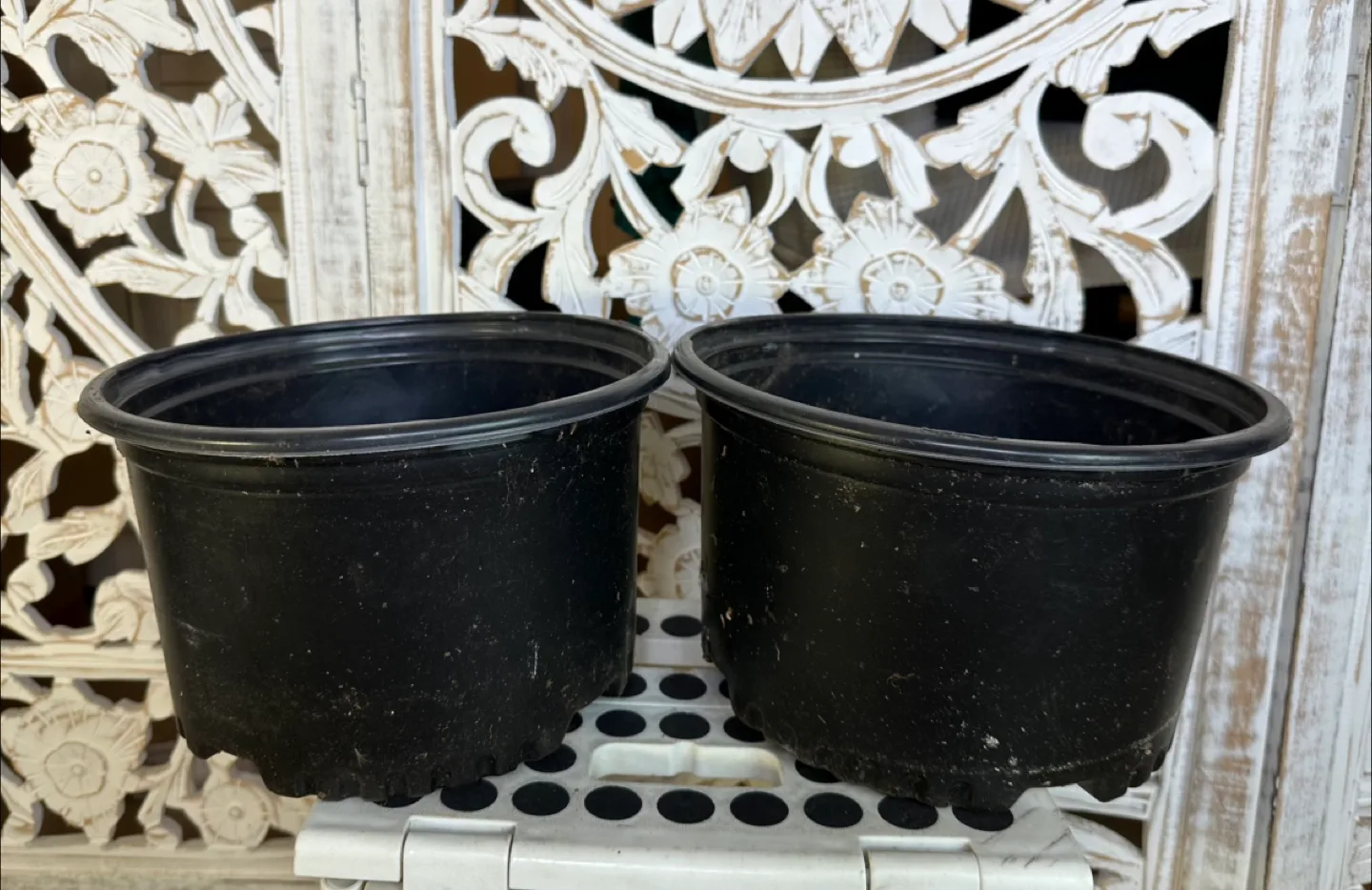 🧡 Two 10 x 6” Nursery Supplies Inc. Plant Pots thumbnail