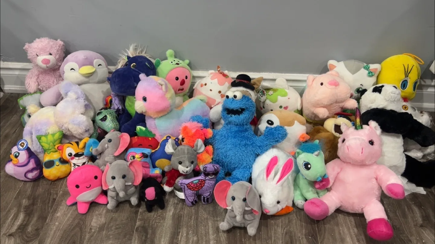 Assorted Plush Toys - Various Brands thumbnail