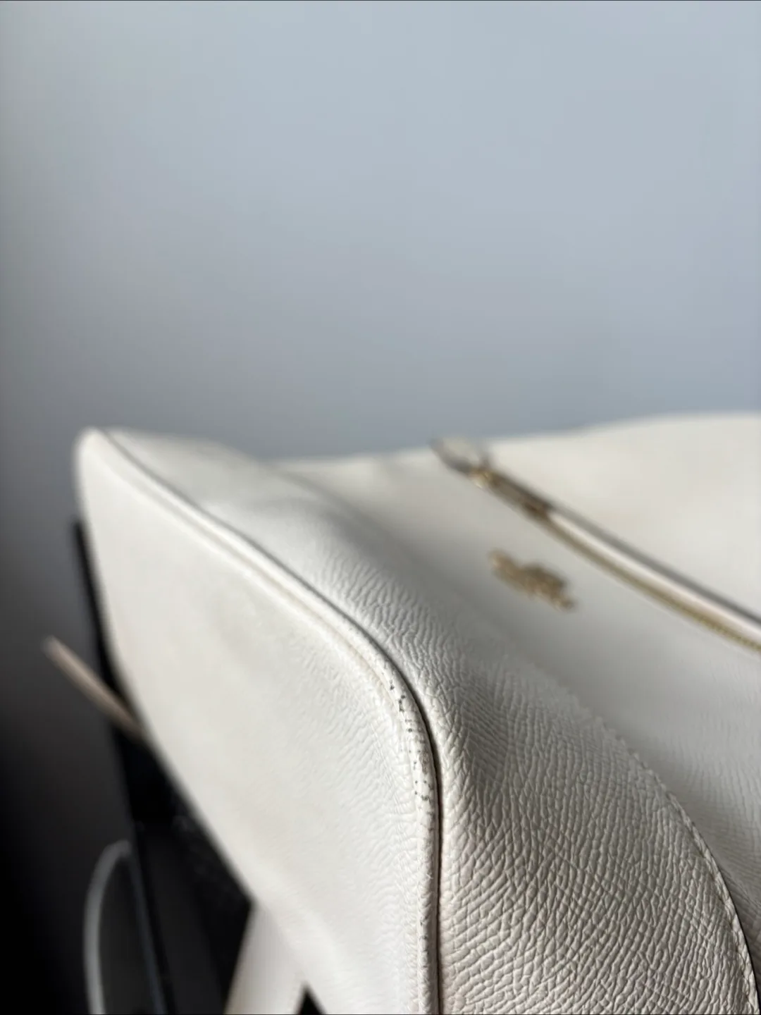 Coach Backpack - White image indicator(4)