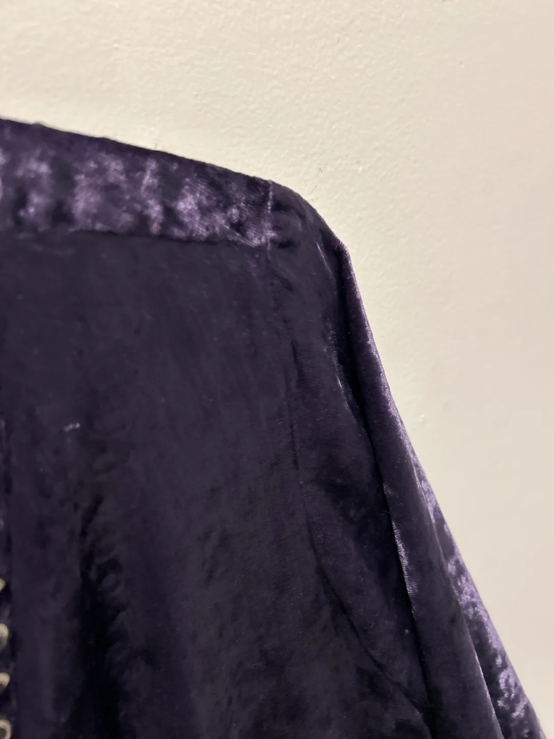 Purple Velvet Dress - Size L image indicator(4)