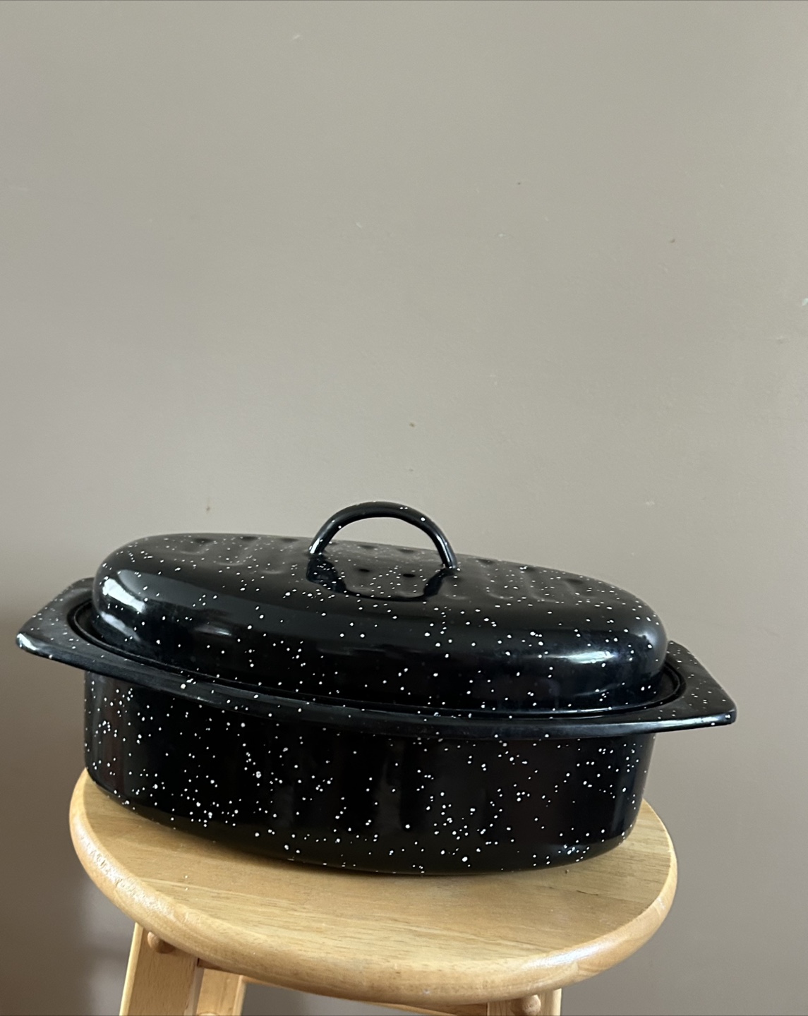 Speckled Black Enamelware Roasting Pan with Lid