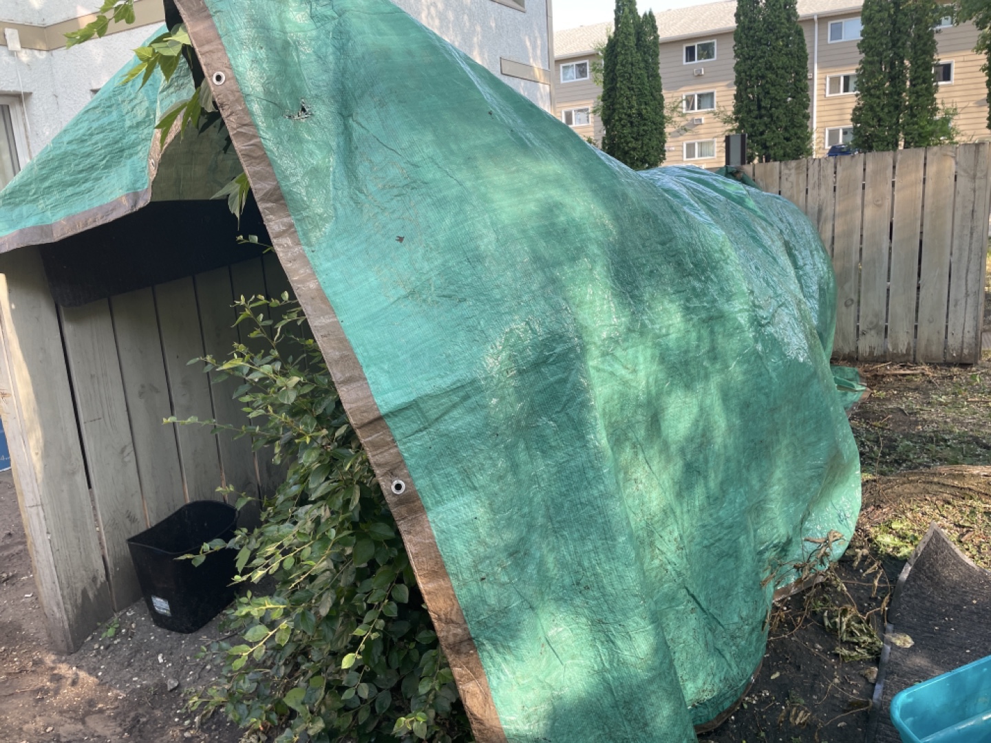 Green Tarp - photo 2
