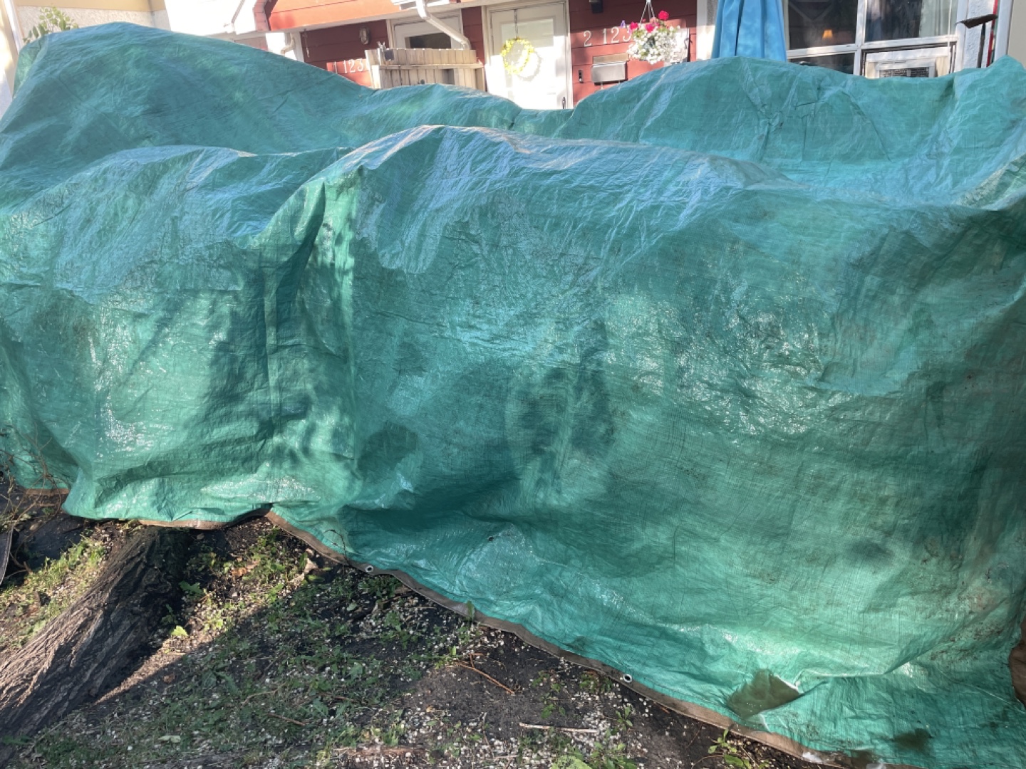 Green Tarp